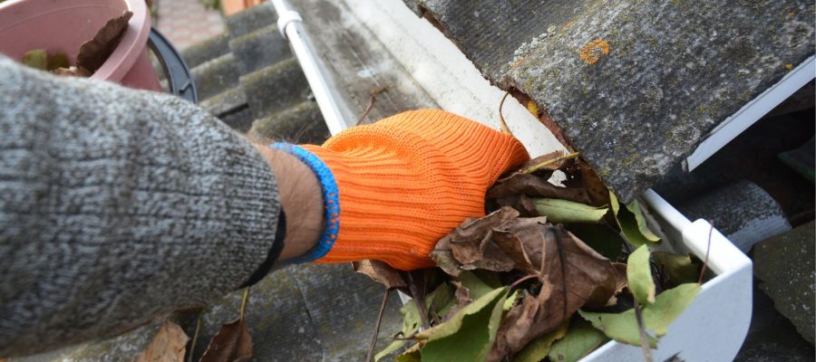 Dakgoot reinigen Venlo Dakgoot reinigen Venlo