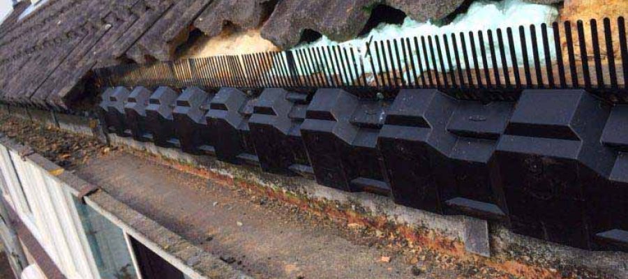 Vogeloverlast-2 Vogeloverlast-2